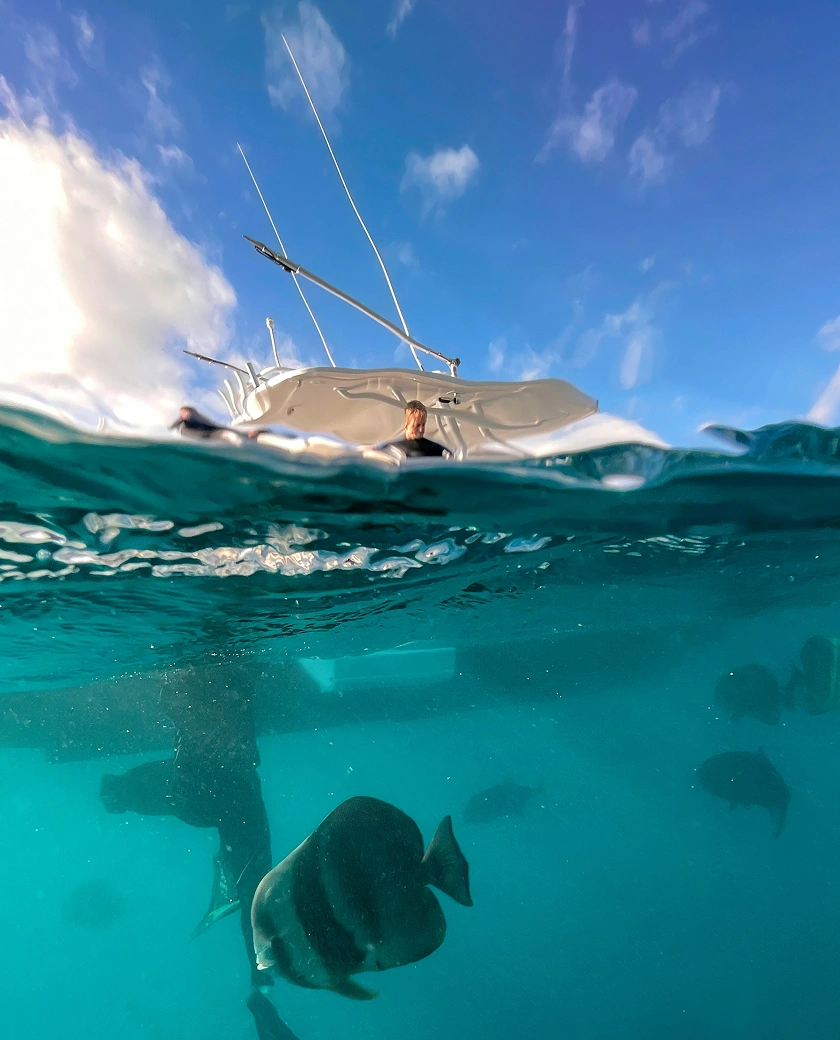 andy bridge b mgf wexgg unsplash.webp