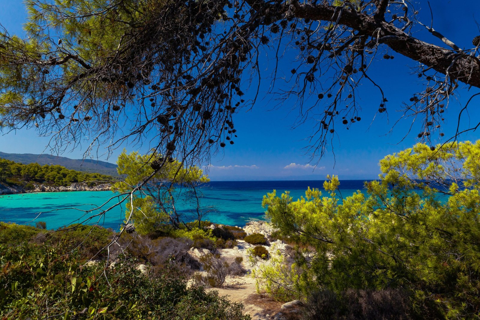 pexels 724205709 18331828